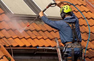 Démoussage et hydrofuge de toiture à Lesterps